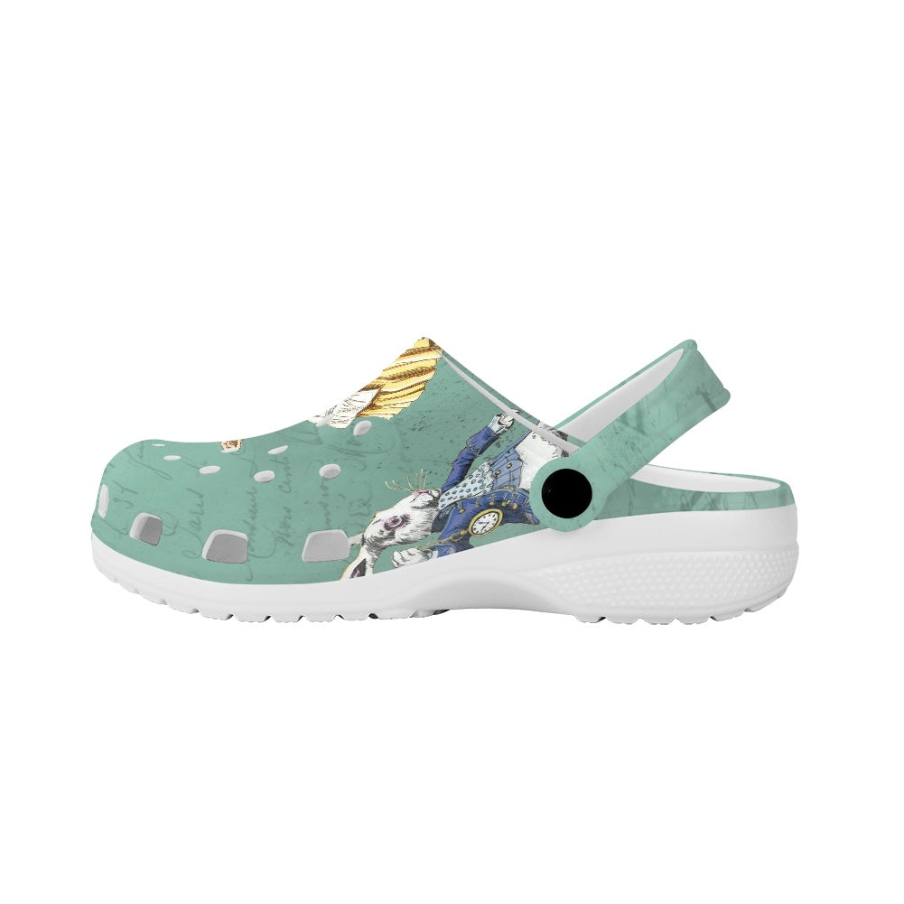 Alice in Wonderland Women's Clogs Shoes